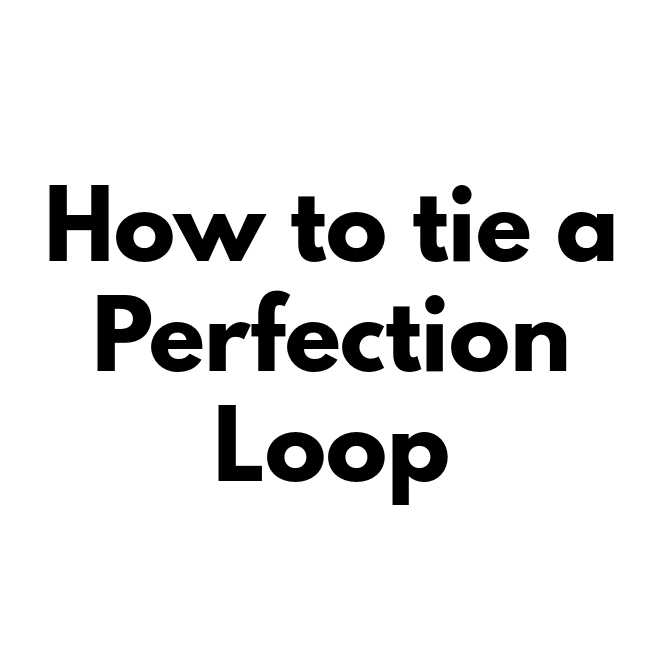 How to tie a Perfection Loop
