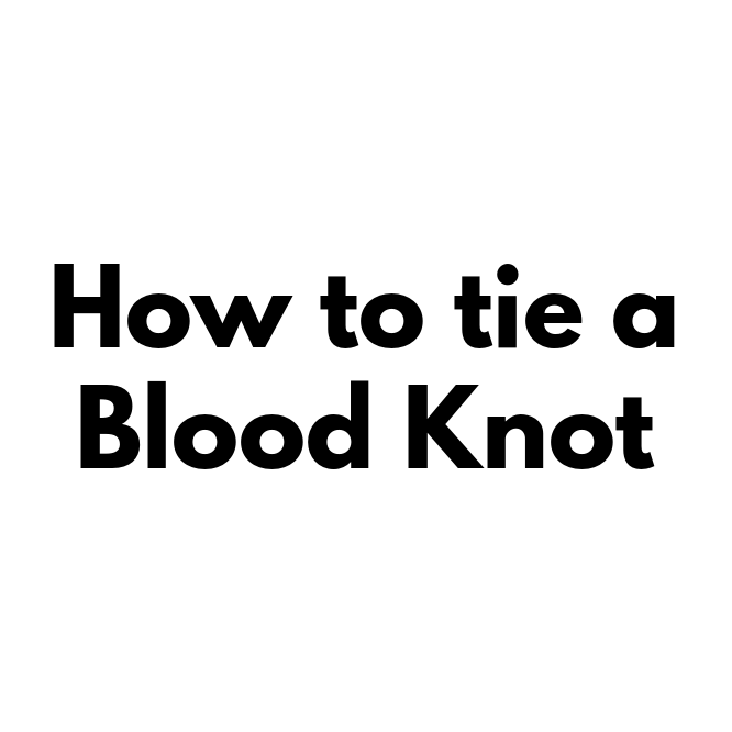 How to tie the Blood Knot